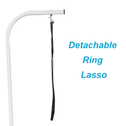 Detachable Ring Lasso