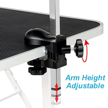 Arm Height Adjustable